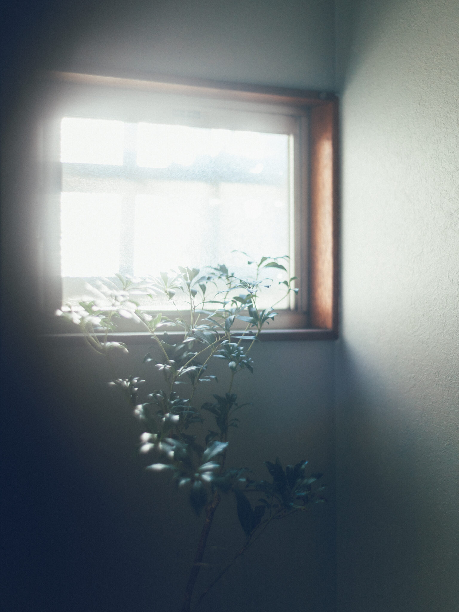 今月の写真家、今日の一枚。那須野 友暉 vol.19