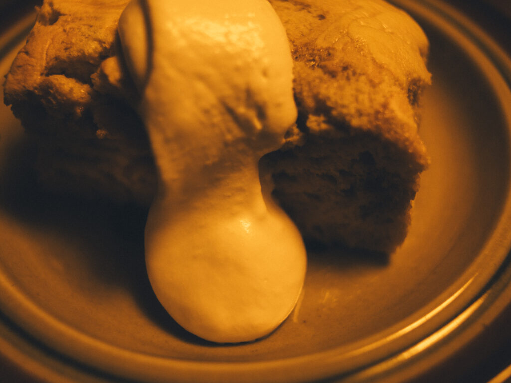 今月の写真家、今日の一枚。那須野 友暉 vol.21