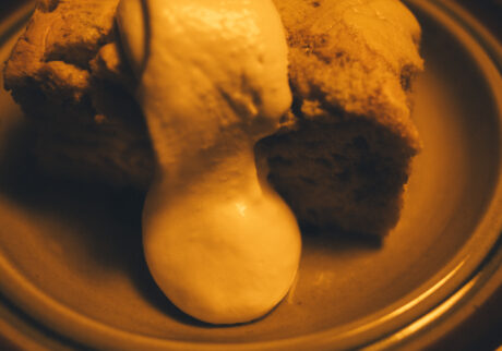 今月の写真家、今日の一枚。那須野 友暉 vol.21 | common_3