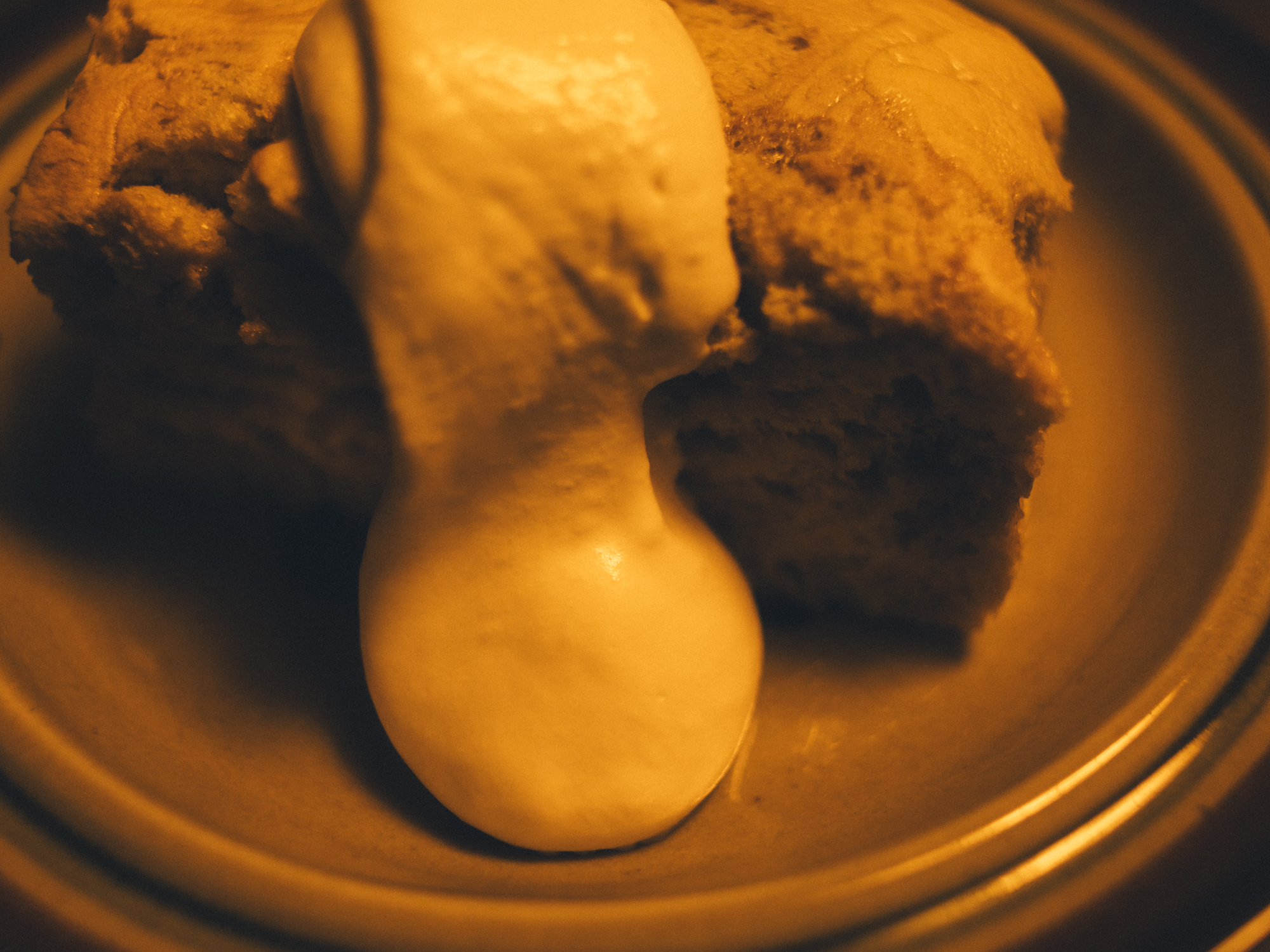 今月の写真家、今日の一枚。那須野 友暉 vol.21