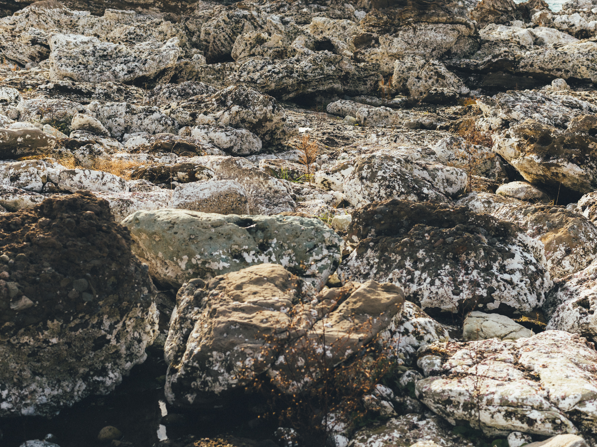 今月の写真家、今日の一枚。那須野 友暉 vol.22