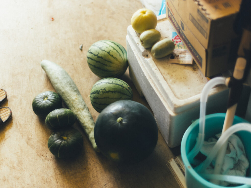 今月の写真家、今日の一枚。那須野 友暉 vol.24 | common_4 今月の写真家、今日の一枚。那須野 友暉 vol.24