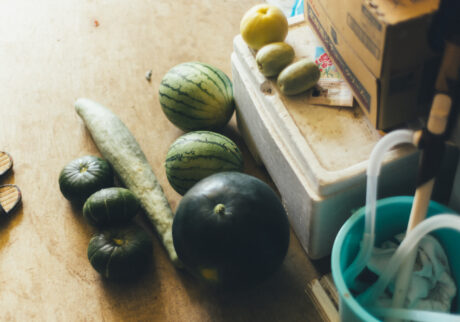 今月の写真家、今日の一枚。那須野 友暉 vol.24 | common_4