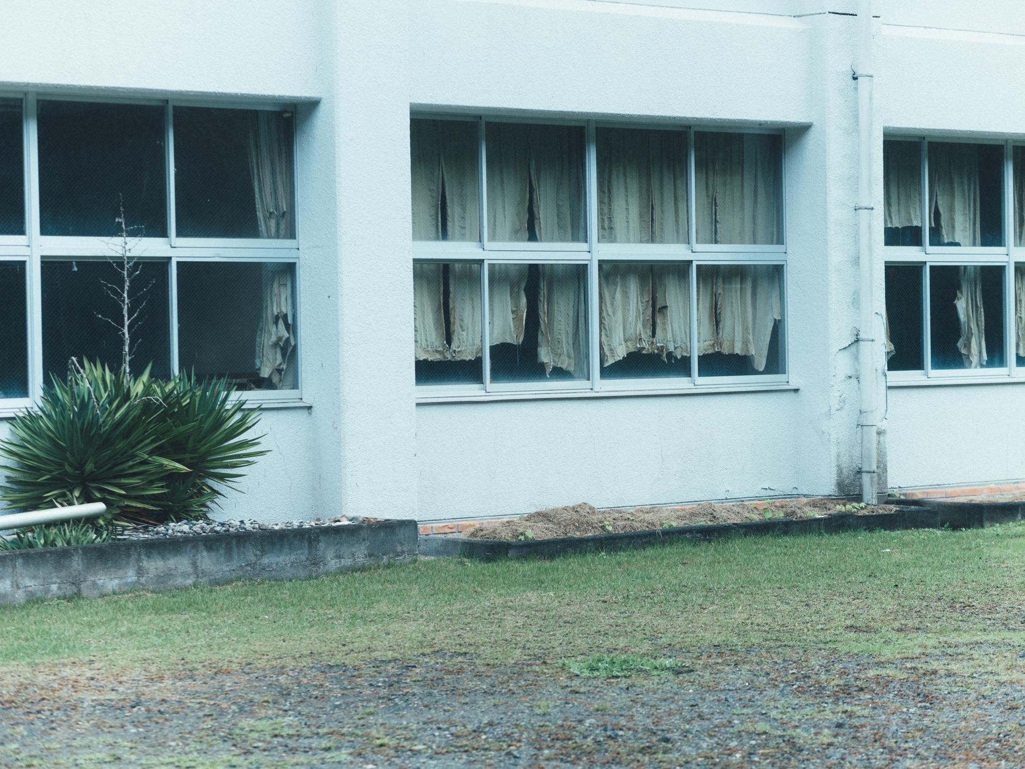 今月の写真家、今日の一枚。那須野 友暉 vol.28