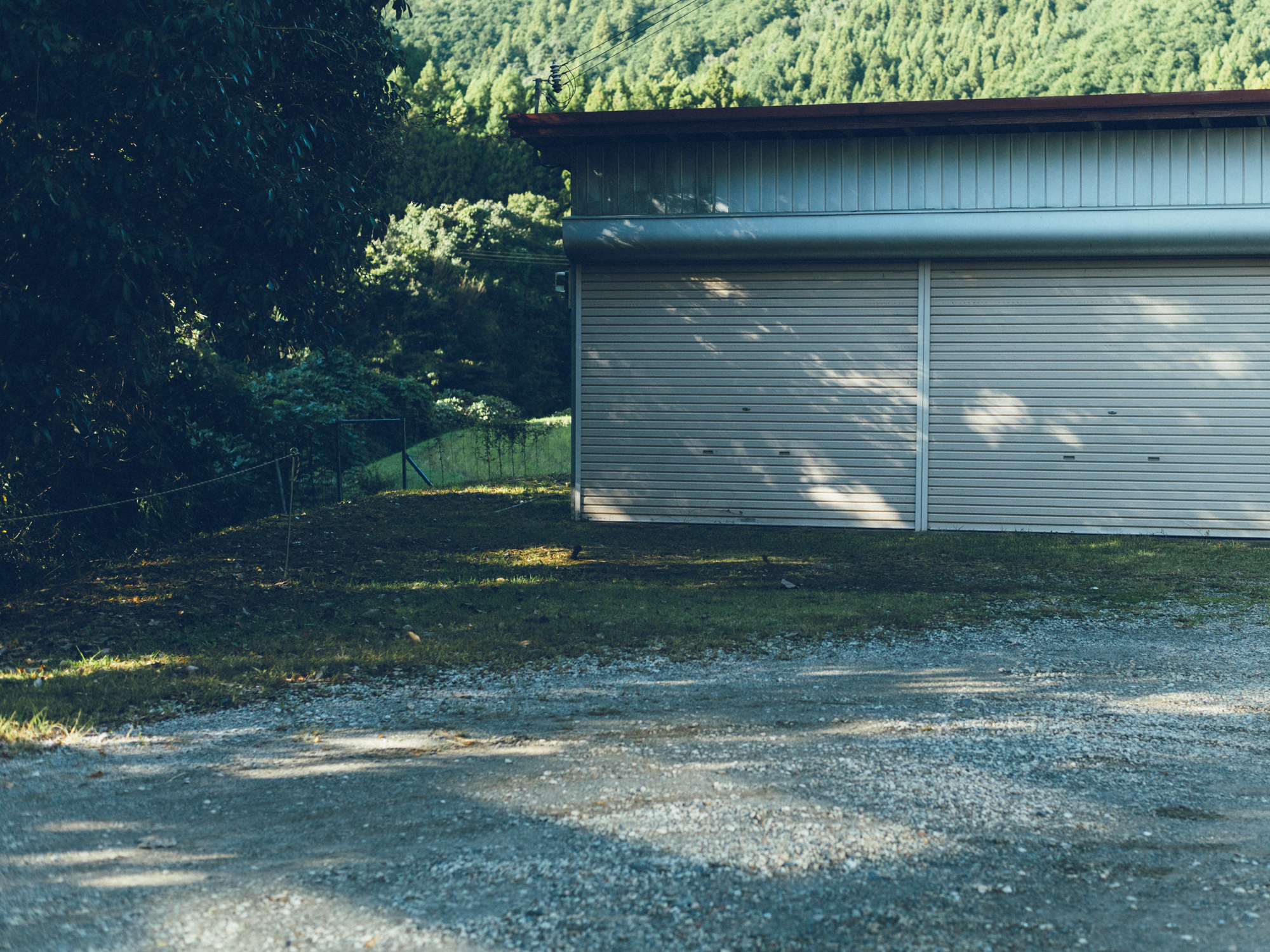 今月の写真家、今日の一枚。那須野 友暉 vol.30