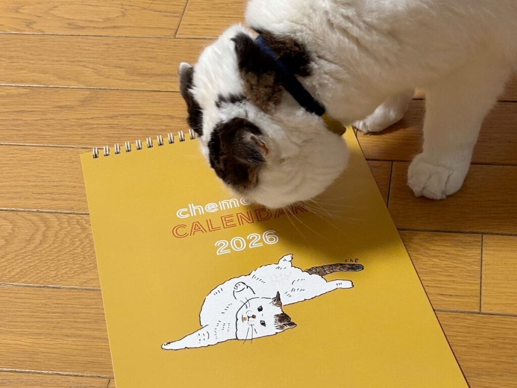 ちゃんとカレンダーめくってる？スコティッシュフォールド いなほ | もう今年も1週間経ったけど、みんなはカレンダーちゃんとめくってるかー？ 我が家の今年のカレンダーは、オレのかわいいイラストが表紙のこちら！