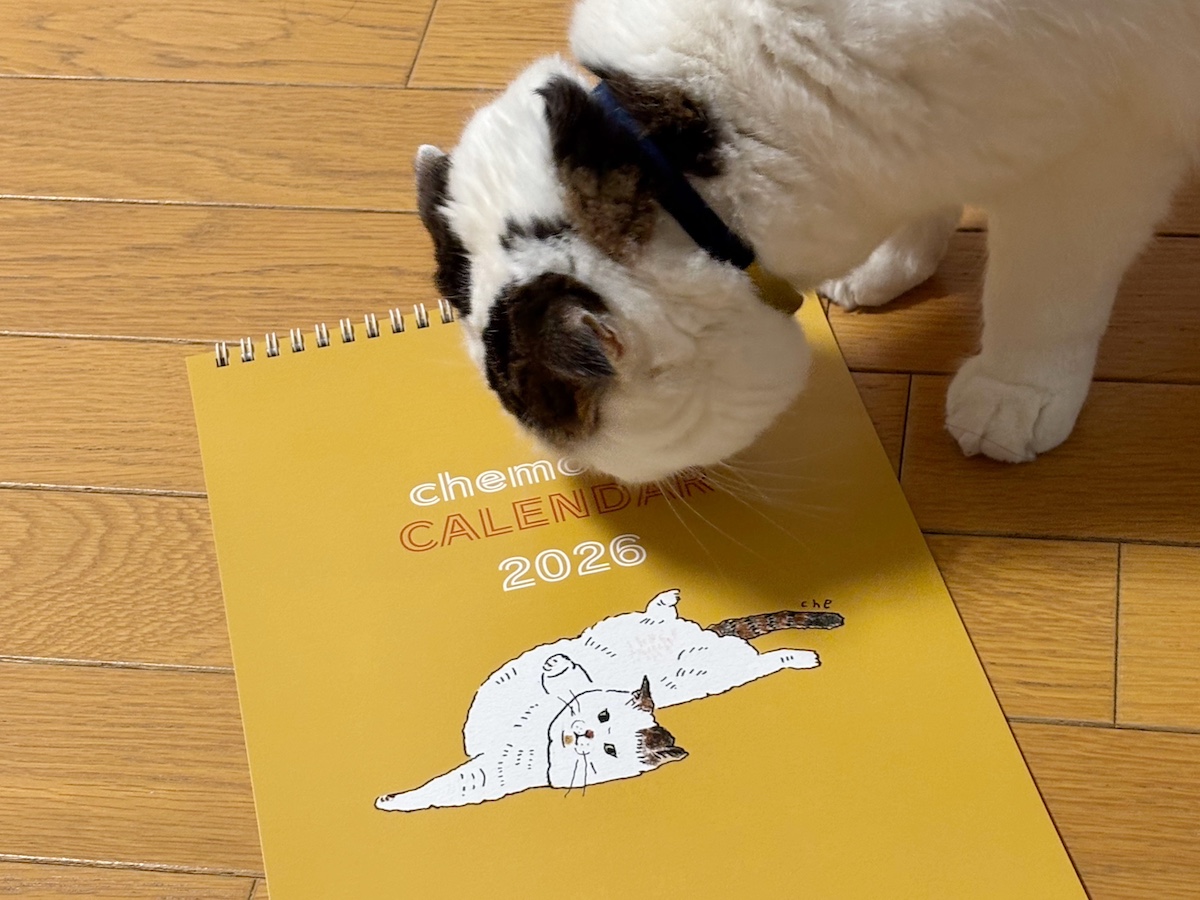 ちゃんとカレンダーめくってる？【いなほ、オレ物語。vol.264】