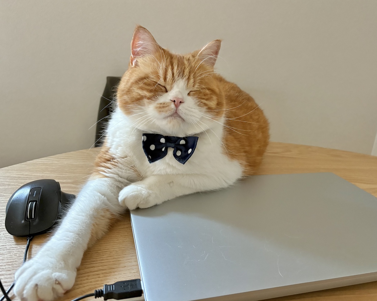 ここが落ち着くんです。【とろろ、もふもふDays。vol.162】