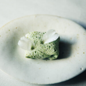 目と口で味わう、冬だけの白い山茶花の一皿。