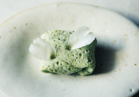 目と口で味わう、冬だけの白い山茶花の一皿。