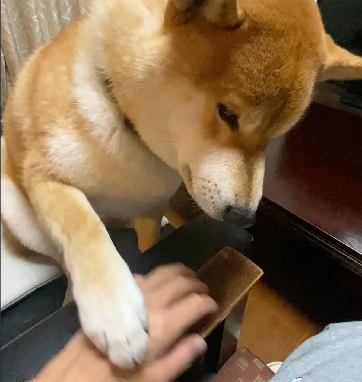 もっともっともっとやるのだ。