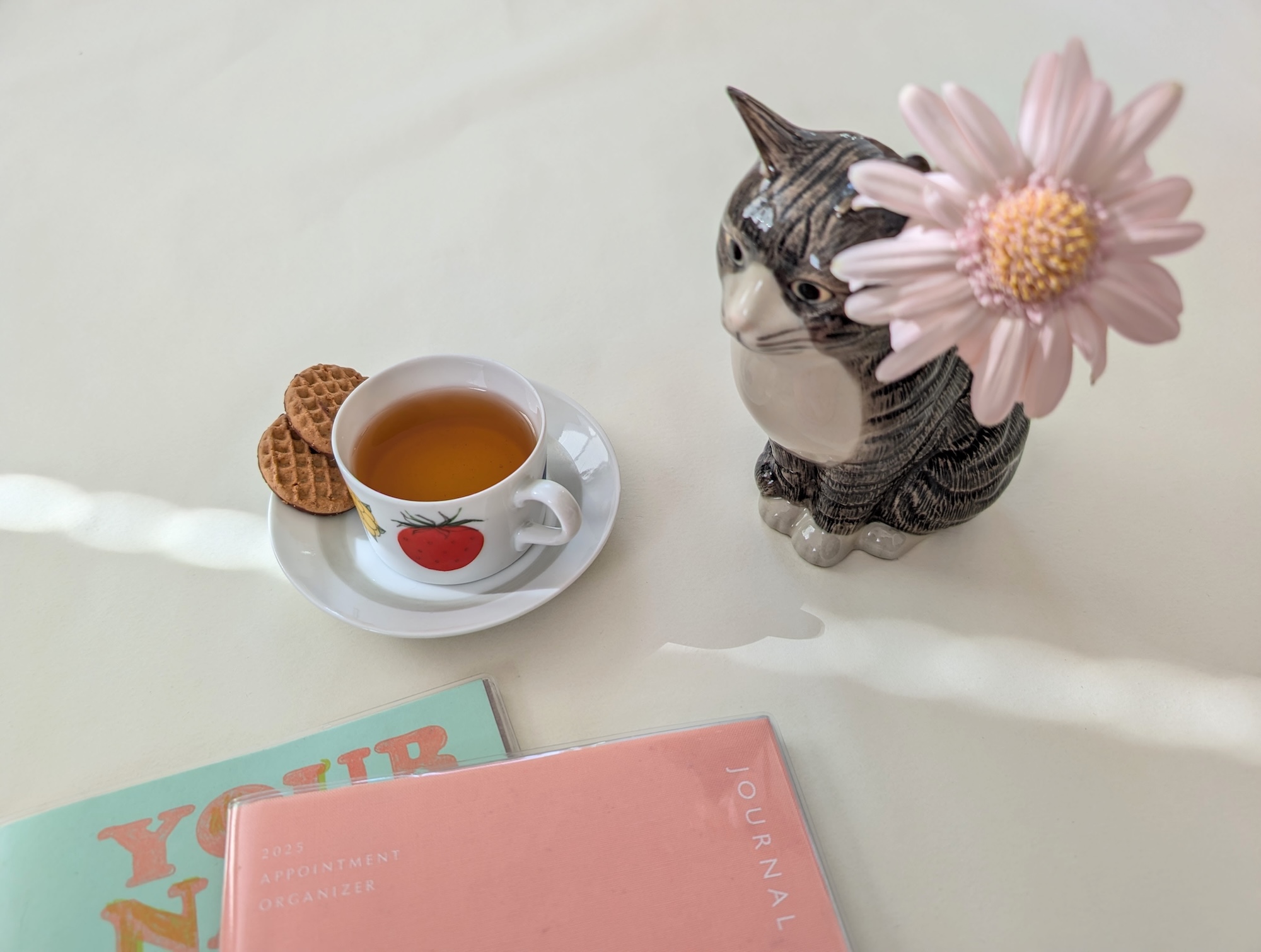 お茶を淹れて、手帳を書いて。写真と文：柳沢小実 (エッセイスト) #3