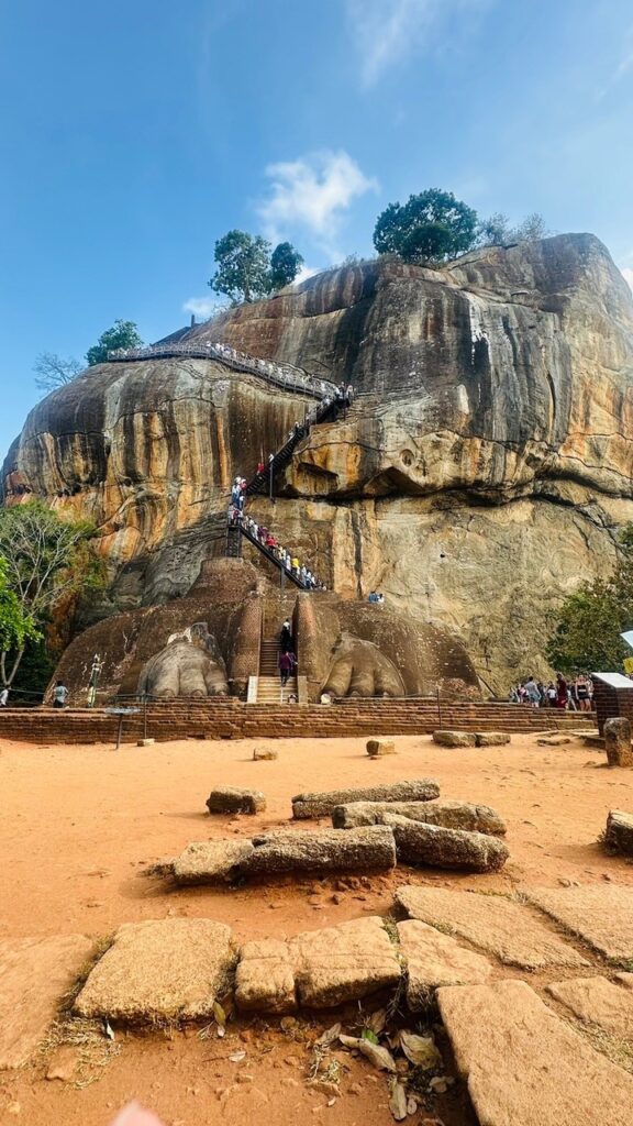 「ディナチャルヤ」 (1日の過ごし方) について。しなやかな自分を作る4つの日常ごと。Vol.1 写真と文:久保直子 (ウェルネス&ビューティジャーナリスト/植物療法士/アロマデザイナー) #3 「ディナチャルヤ」 (1日の過ごし方) について。しなやかな自分を作る4つの日常ごと。Vol.1 写真と文:久保直子 (ウェルネス&ビューティジャーナリスト/植物療法士/アロマデザイナー) #3