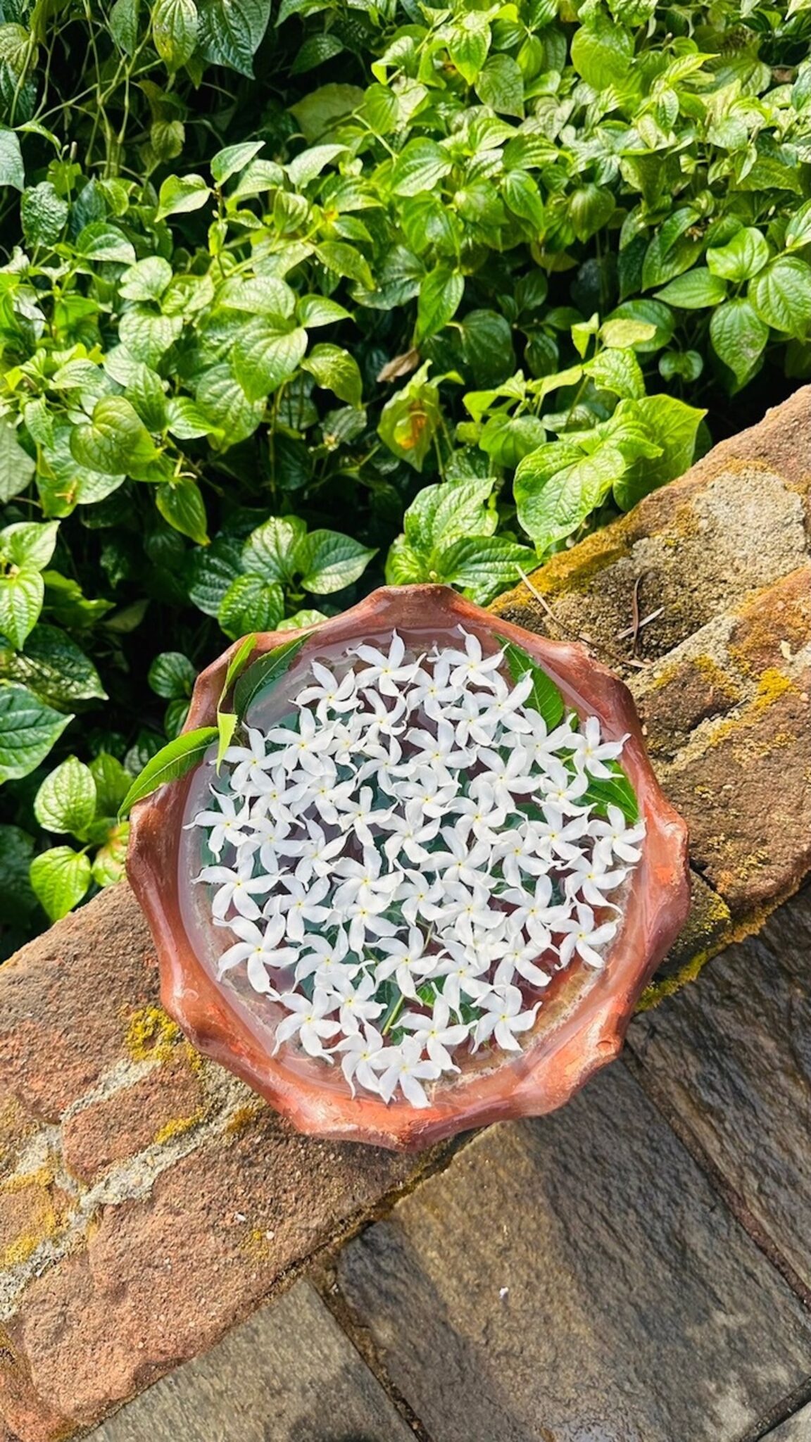 アーユルヴェーダを暮らしに。ディナチャルヤ (1日の過ごし方) を習慣に。 写真と文：久保直子 (ウェルネス＆ビューティジャーナリスト) #1