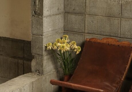 椅子の“すき間”に、自分と同じ目線の花を。写真と文：齋藤拓磨 (『Hljóð』店主) #1