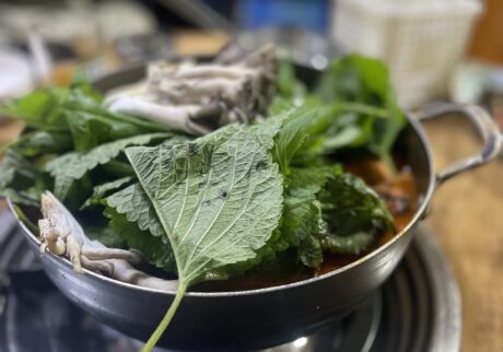 タットリタン、メウンタン、ミナリスユク。もう一度、ソウルで食べたい鍋。編集後記「ひとりでも、韓国・ソウルへ」