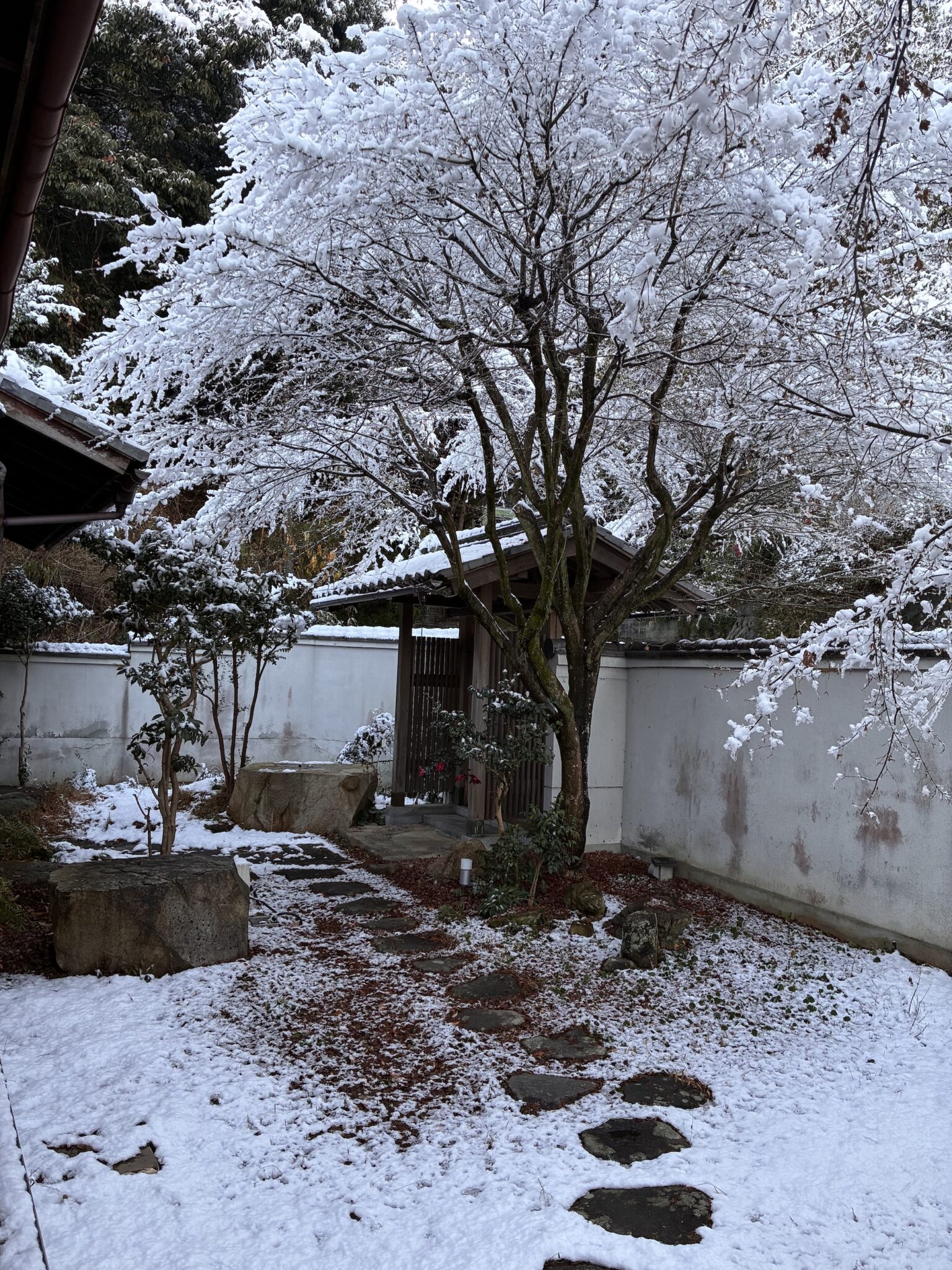 窓の向こうが、部屋を心地よく整えてくれる。編集後記「部屋を心地よく、整える」