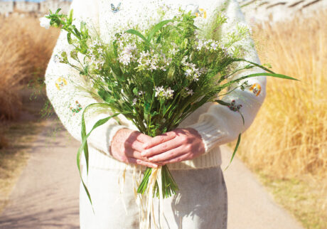 淡いピンクの花が繊細で可憐な表情のシレネ。 淡いピンクの花が繊細で可憐な表情のシレネ。