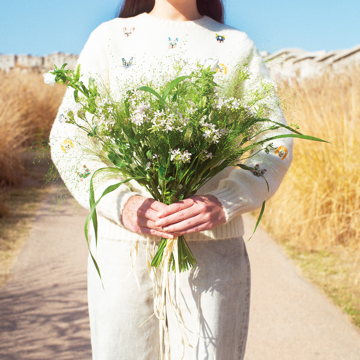 淡いピンクの花が繊細で可憐な表情のシレネ。
