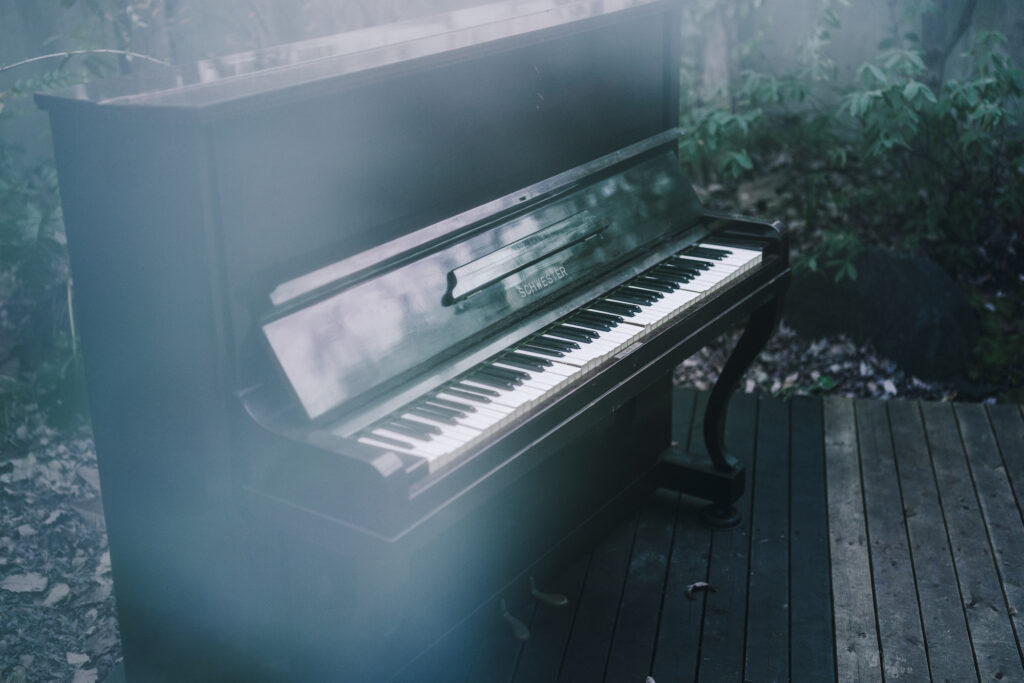 坂本龍一さんが残した本をきっかけに、新たな出合いを届ける。『坂本図書』と〈YAECA〉による図書空間『坂本ヤエカ』がスタート。 | 庭には、坂本さんが3歳の頃から使っていたピアノが置かれている。坂本さんがニューヨークの自宅の庭で行っていたという、ピアノを自然に還す実験と同様の取り組みだ。