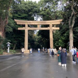 2022年11月、原宿駅すぐ近くの明治神宮内苑の南参道と一の鳥居。古くからある自然の森のように見えるが、人工林だ。