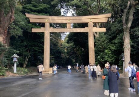 2022年11月、原宿駅すぐ近くの明治神宮内苑の南参道と一の鳥居。古くからある自然の森のように見えるが、人工林だ。