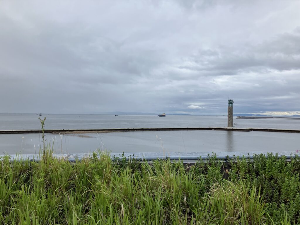 2025年5月、大屋根リングから眺めた海。