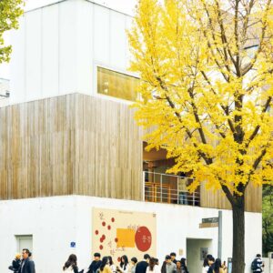 韓国の伝統文化を歴史ある街で学ぶ、ソウル・ 景福宮 (キョンボックン) の『ARUMJIGI』へ。 | 景福宮横の西村(ソチョン)にあり、秋には美しい銀杏並木が眼前に広がる。 韓国の伝統文化を歴史ある街で学ぶ、ソウル・ 景福宮 (キョンボックン) の『ARUMJIGI』へ。 | 景福宮横の西村(ソチョン)にあり、秋には美しい銀杏並木が眼前に広がる。