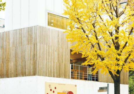 韓国の伝統文化を歴史ある街で学ぶ、ソウル・ 景福宮 (キョンボックン) の『ARUMJIGI』へ。 | 景福宮横の西村（ソチョン）にあり、秋には美しい銀杏並木が眼前に広がる。