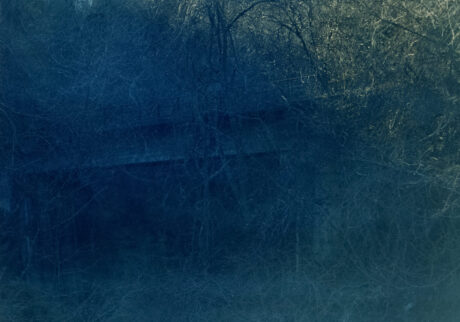 今月の写真家、今日の一枚。那須野 友暉 vol.3 | roadside_1