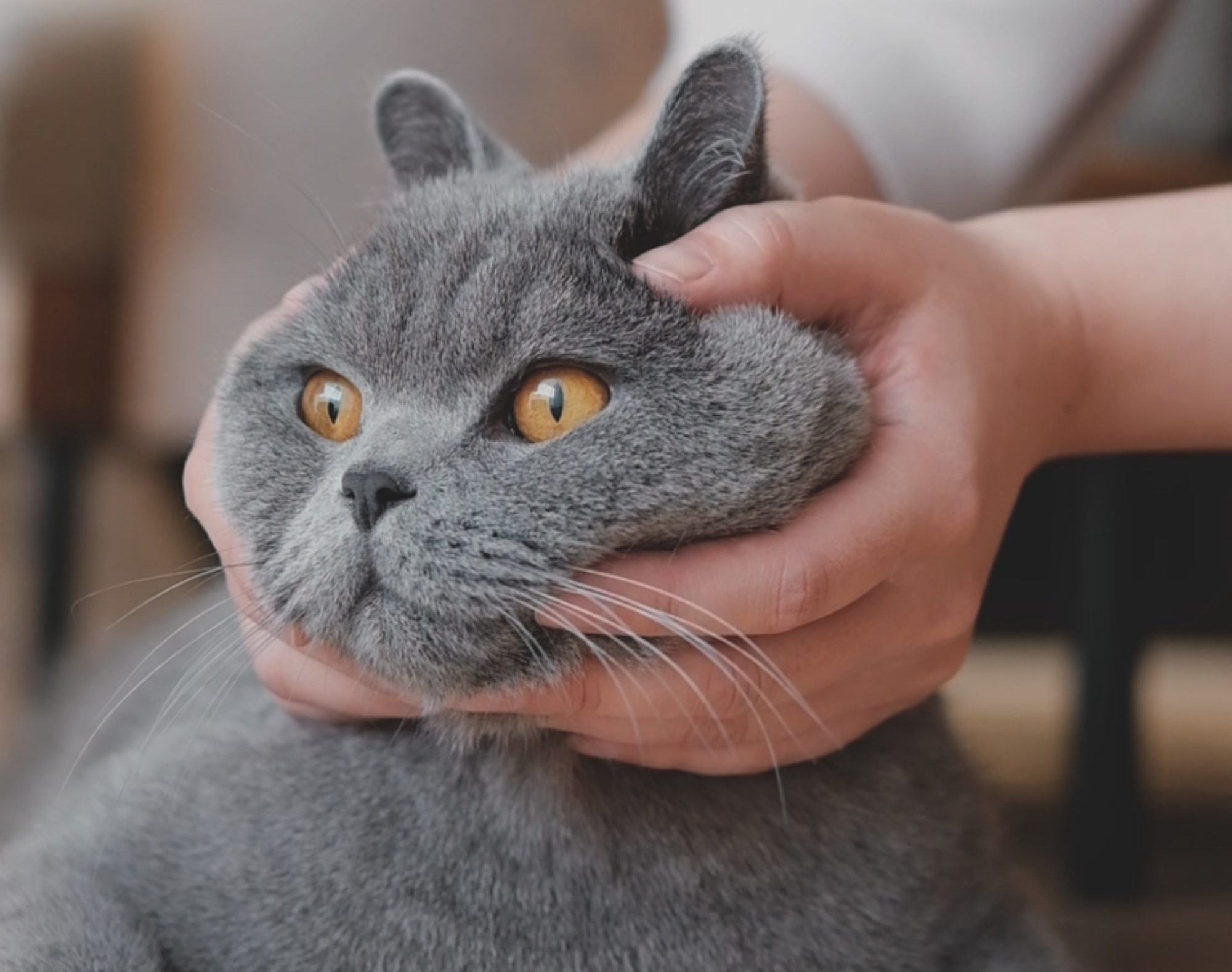 ウィンウィンの関係？【ごまちゃん、今日も自由気まま。vol.7】