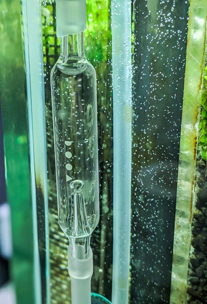 水槽には二酸化炭素を添加。 水槽には二酸化炭素を添加。