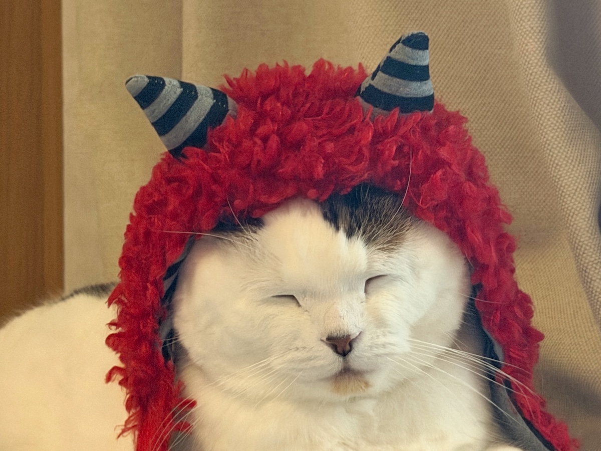 これ、防寒にいいねん。【いなほ、オレ物語。vol.268】