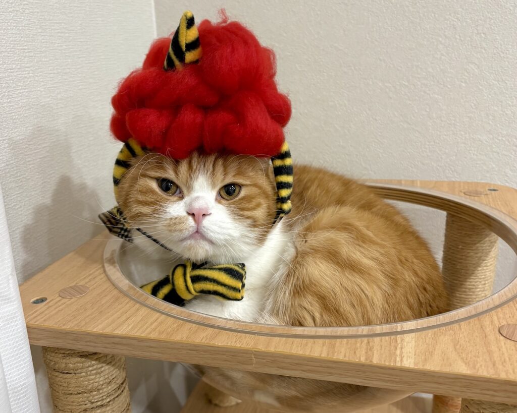 節分は、赤鬼に変身！ハチワレ とろろ | 今日は節分なので、僕は赤鬼になりました。