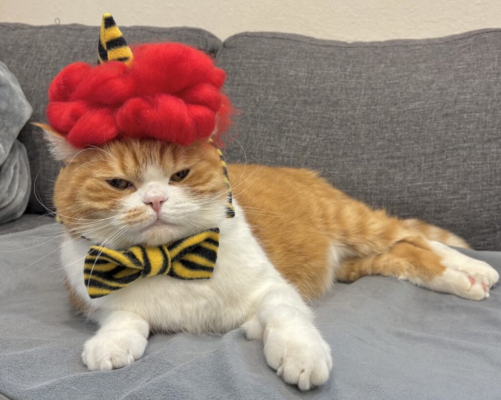 節分は、赤鬼に変身！ハチワレ とろろ | トラ柄のパンツまで用意されたけど、僕は断固拒否しました……。