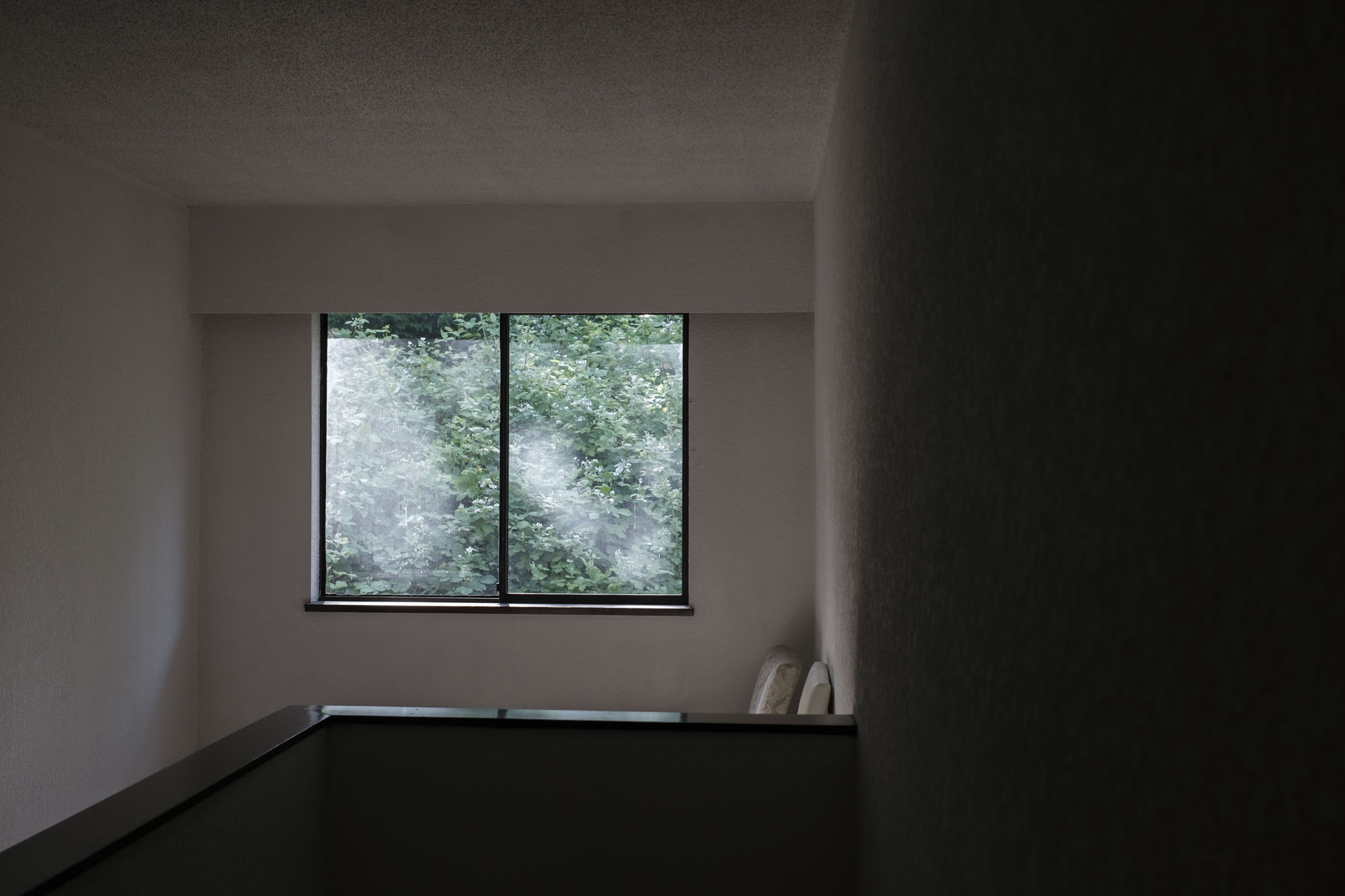 今月の写真家、今日の一枚。山崎 智世 vol.10