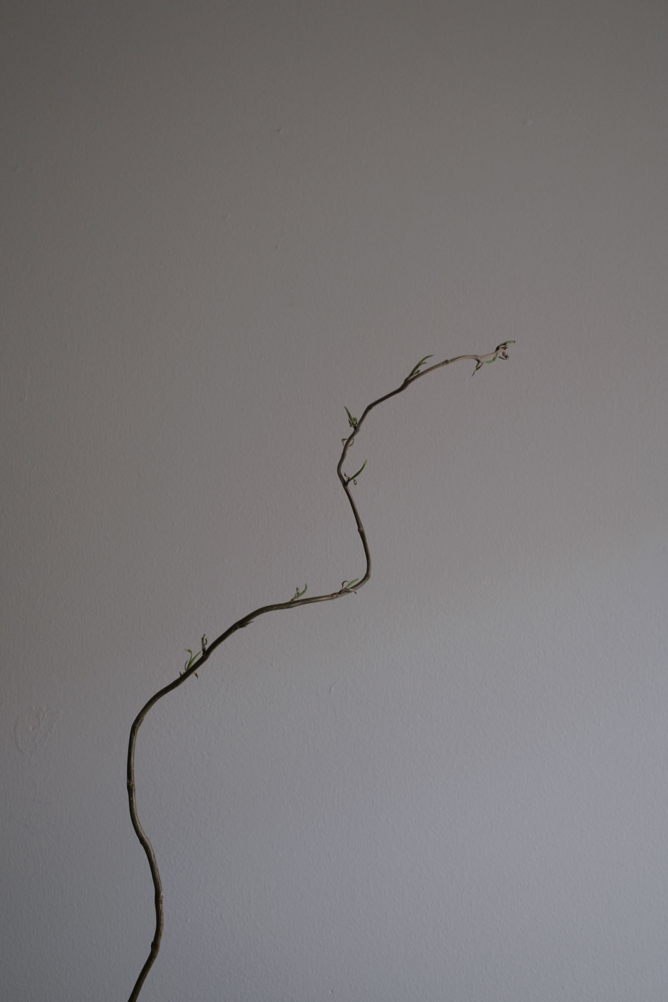 今月の写真家、今日の一枚。山崎 智世 vol.11