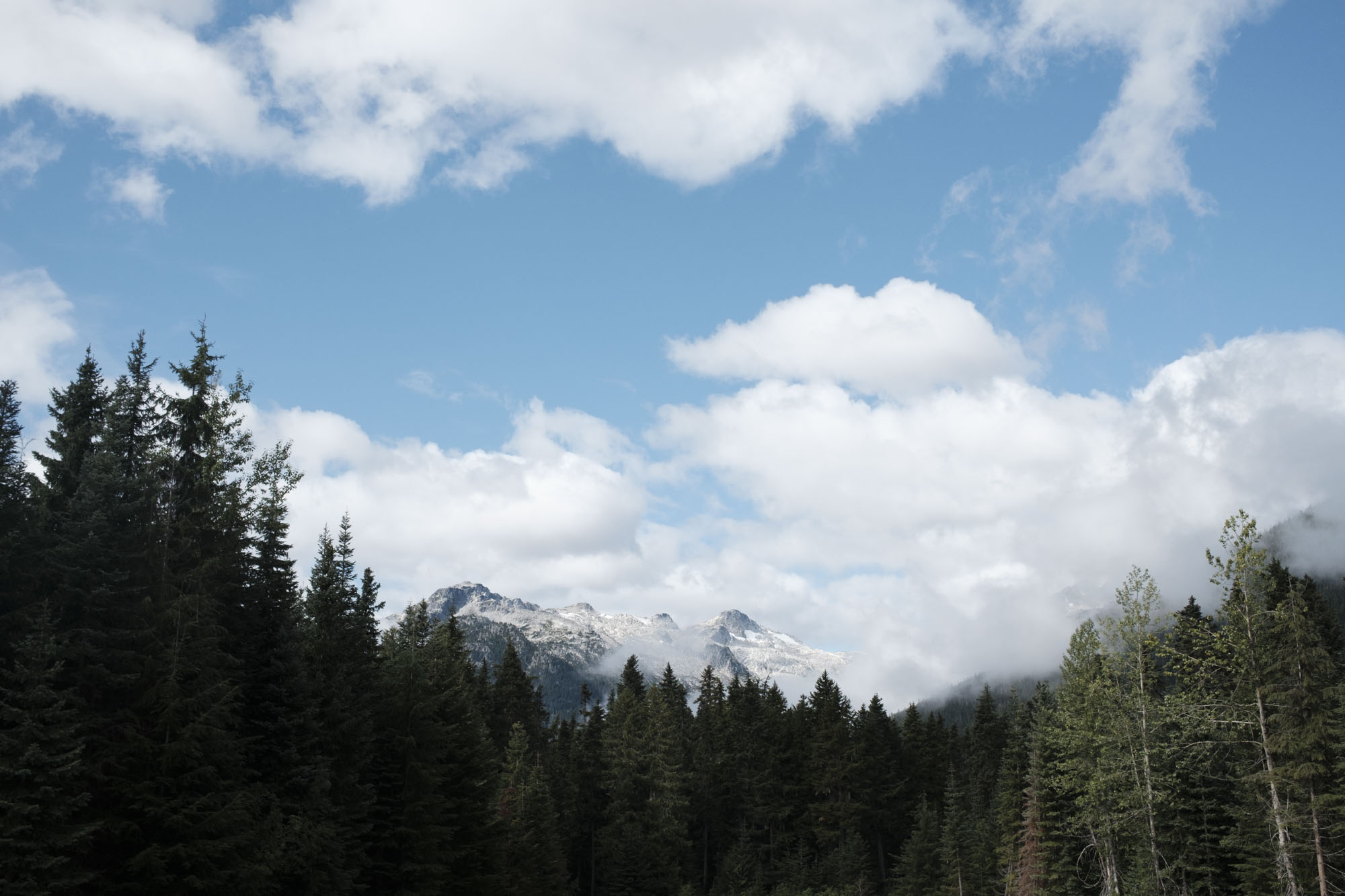 今月の写真家、今日の一枚。山崎 智世 vol.20