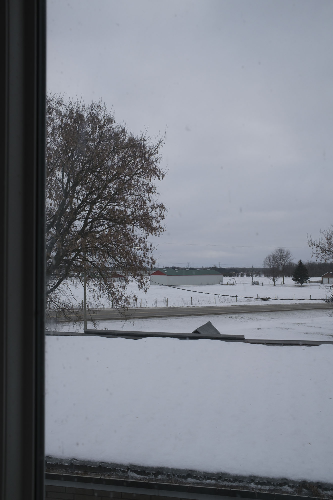 今月の写真家、今日の一枚。山崎 智世 vol.27