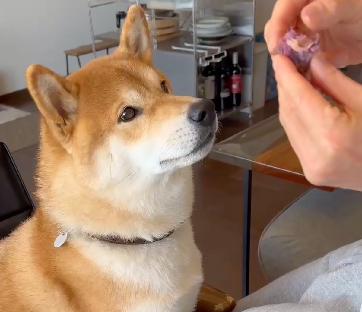 焼き芋おいしいね〜。