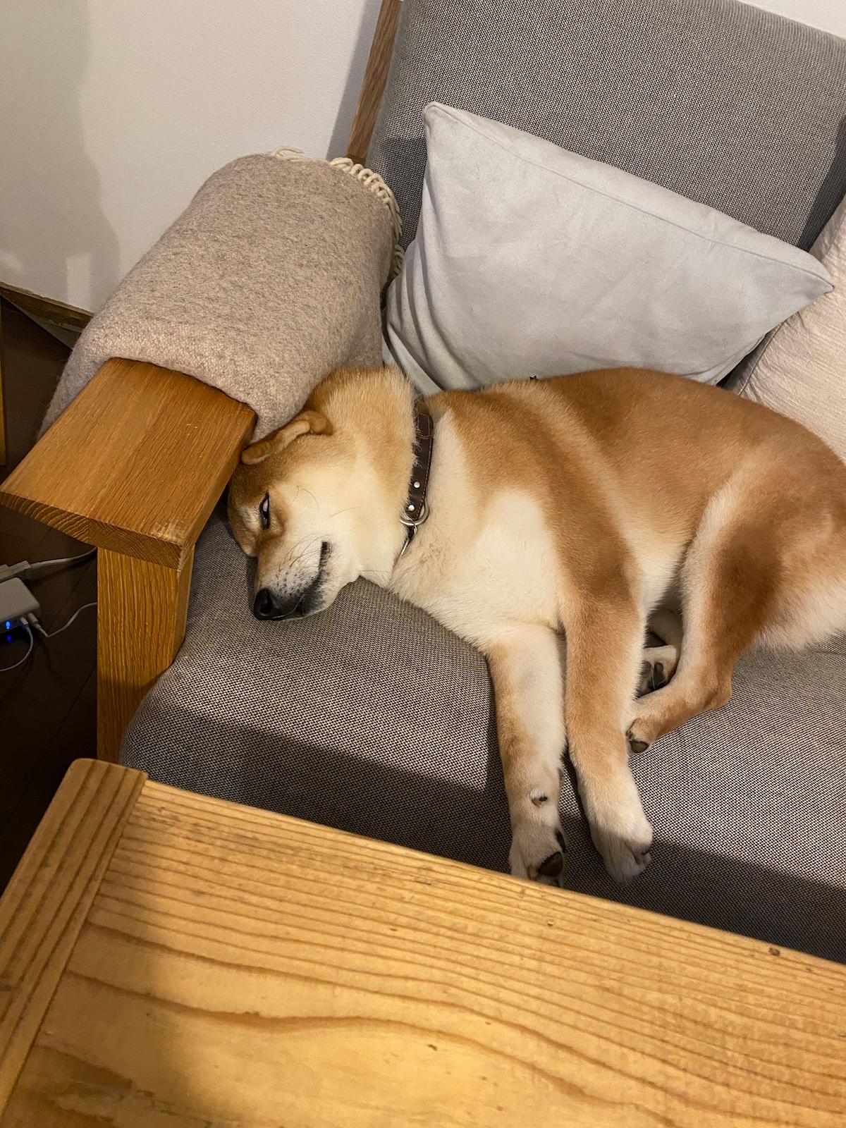 じゃっかんホラーです。