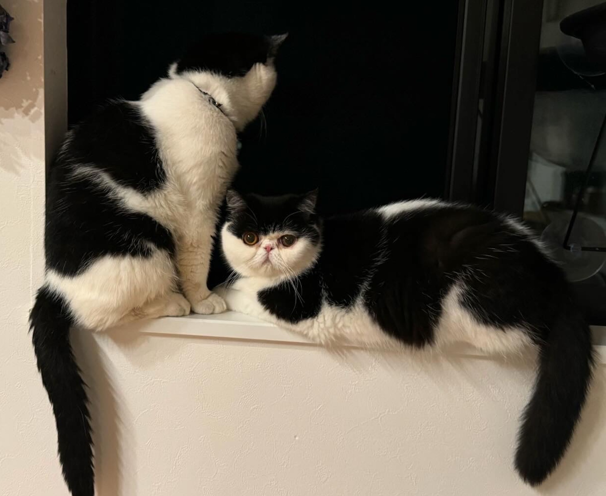 見つめる先には……？【ちろり、スターへの道のり。vol.25】