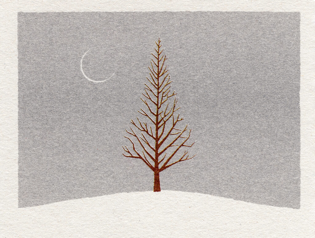 Feb 17 | あたらしい冬 / New Moon Old Tree Feb 17