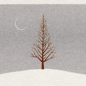 Feb 17 | あたらしい冬 / New Moon Old Tree