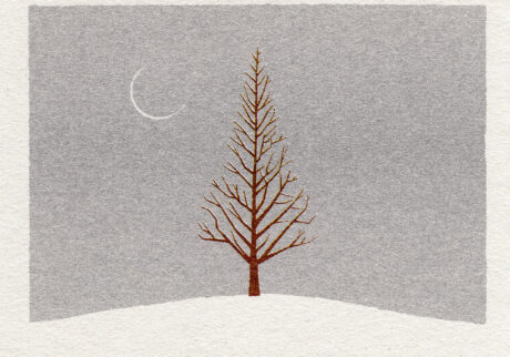Feb 17 | あたらしい冬 / New Moon Old Tree