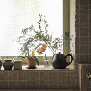 植物の存在を喜ぶ。フラワースタイリスト・平井かずみさんに聞いた、心地よく過ごすための空間づくり。 | 窓辺に飾るのもお気に入り。逆光が植物のシルエットを美しく映し出す。台所仕事の最中にふと目をやると嬉しくなる。
