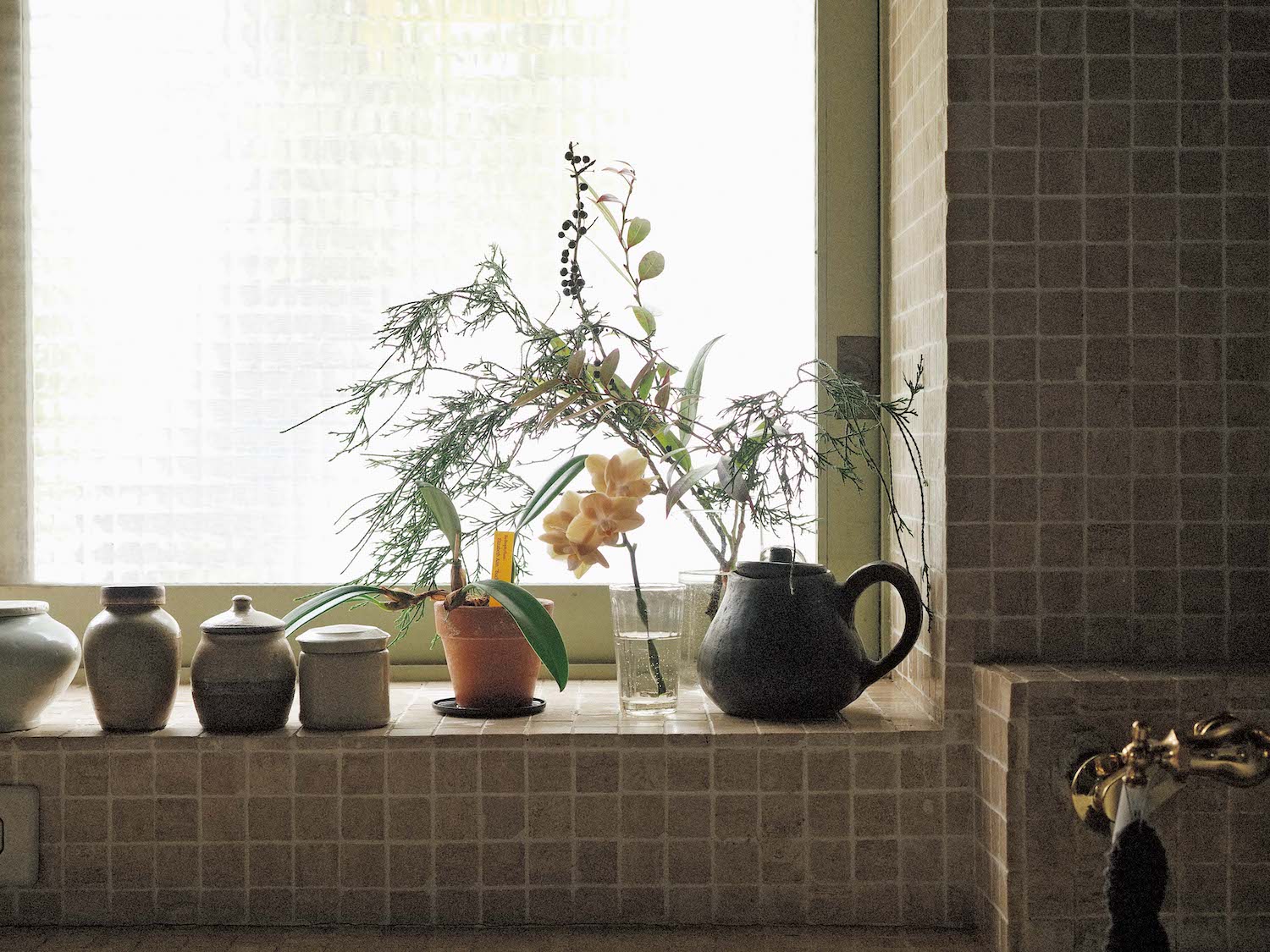 植物の存在を喜ぶ。フラワースタイリスト・平井かずみさんに聞いた、心地よく過ごすための空間づくり。 | 窓辺に飾るのもお気に入り。逆光が植物のシルエットを美しく映し出す。台所仕事の最中にふと目をやると嬉しくなる。