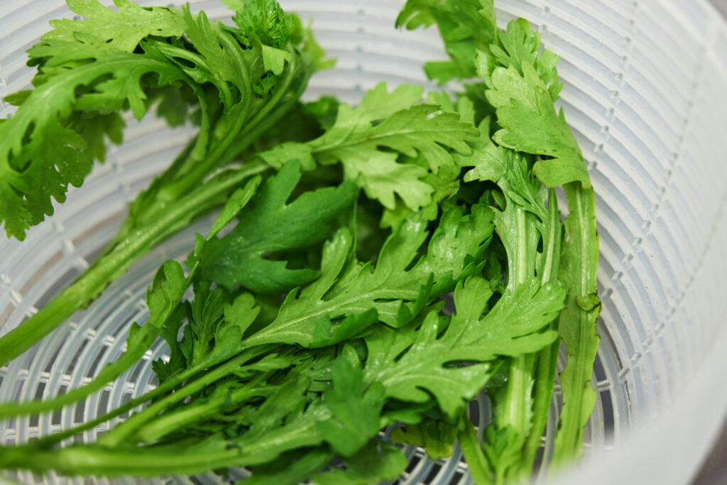 3 春菊と豆苗の揚げごぼうナムル おべんと屋さん〈75foods〉吉森なな子のレシピ帖 #7 | サラダ作りの工程で、水切りはとっても大切。少し面倒でも、スピナーを使うと仕上がりがシャキッとします。