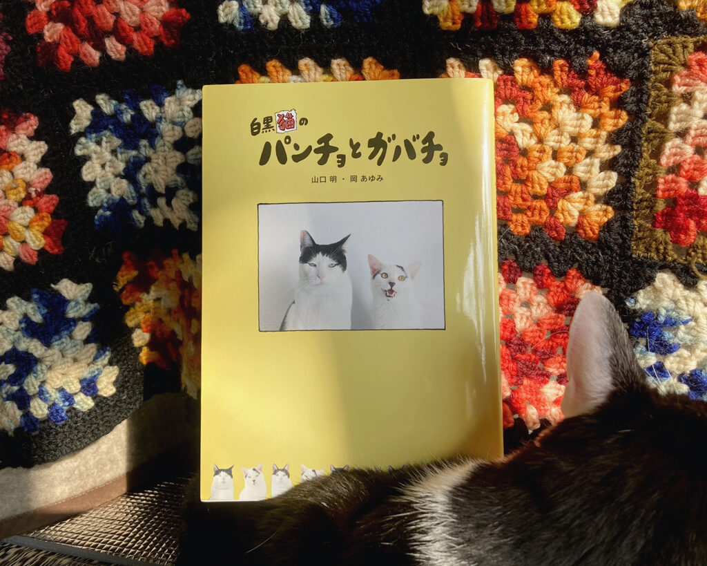 0222-3 | え？コタツで寝るのはあまり身体に良くないですって？
いやいや、コタツで丸くなるのも猫の大事な仕事のひとつなんですよ。
そうそう、コタツで思い出したんですが最近、僕とガバチョの本が出まして。
全国の本屋さん、ネットなどで購入できるので、ぜひ一家に一冊！