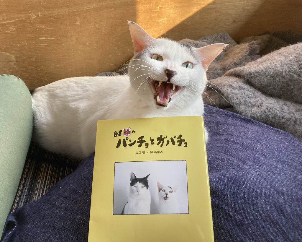 0222-4 | いや、本の紹介、下手すぎるやろ！コタツのくだり、どうでもええわ！
まいど、ガバチョです。パンチョさんの本の紹介が下手すぎて我慢できずに登場してまいました。急にすんません。